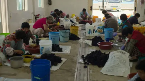 Apple Several haenyeo shelling and preparing seafood they have caught