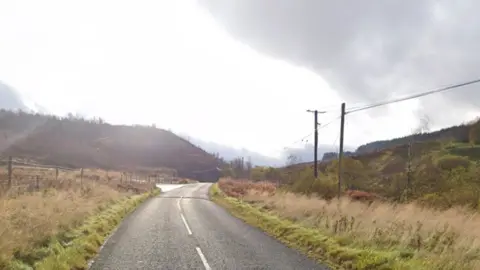 A rural road in the Borders with grass, trees and hedges up either side