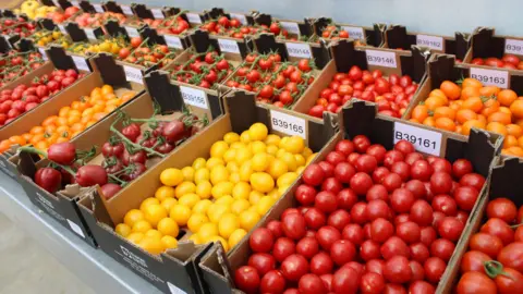 A mix of different coloured tomatoes separated into different boxes. They are red, yellow and orange. 