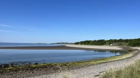 A beach that sits in front of a cloudless blue horizon. To the right of the frame is a strip of sand that ha green trees above and behind it. The sea dominates the left of the frame, with a stoney, mossy beach in the foreground of the photo. 