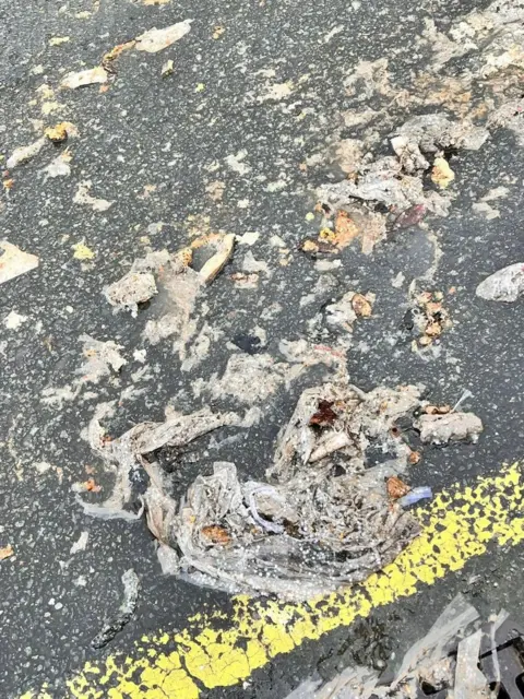 A close-up view of a road, viewed from above, with solid items of sewage across it. There is a painted yellow road marking and a grid along the bottom of the image.