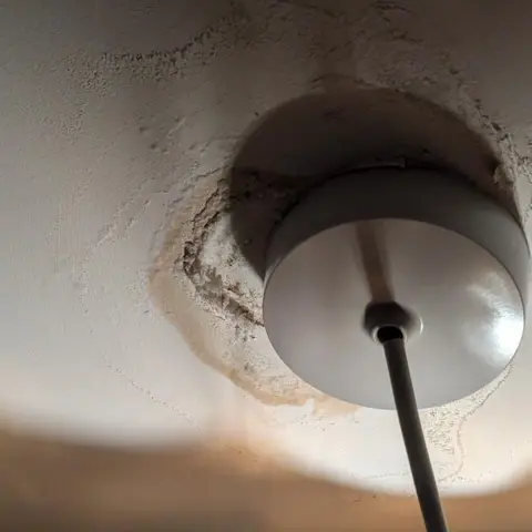 Anna Williams A light fitting which has signs of water seeping through the ceiling, the plaster is brown and cracked