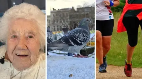 Edited image shows the face of an elderly woman, a pigeon and the legs and feet of some runners