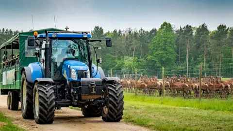 Stourton Estates A blue tractor pulls a green trailer with people sitting inside past a field of deers behind a fence with trees in the background 