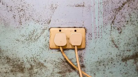 A plug socket with two plugs, plugged into it. The wall is a pale blue colour and is covered in green speckled mould. 