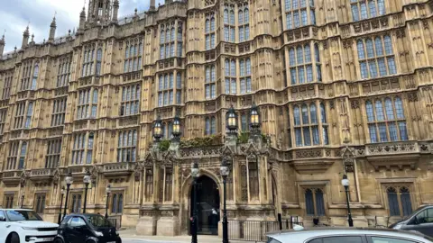 PA Media The Peers' Entrance to the Palace of Westminster shows parked cars in front of a sand-coloured limestone building with four black lamps and glass windows on three floors above the main entrance