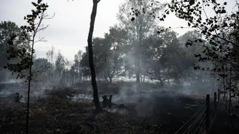 Nottinghamshire Fire and Rescue Service Area of burnt and smoldering woodland