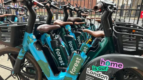 A line of Forest bikes