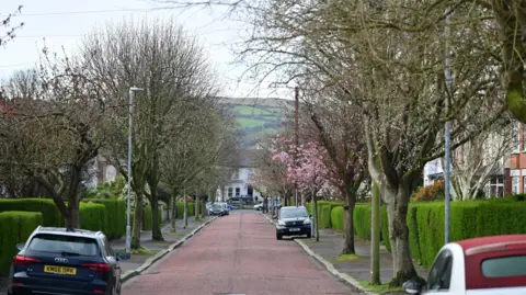 Pacemaker A wide shot of Stormont Park, the road surface is red/pink tarmac and trees including one blooming cherry blossom line the road. Cars are parked half on the pavement at various intervals and there are green hedges at the front of most houses.