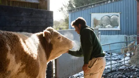 Cow to the left in a open barn with a teenage boy standing to the right stroking its face. There is snow on the ground.