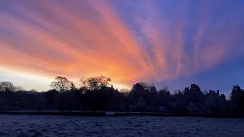 BBC A purple sky in Cirencester at dawn, with a light covering of snow in the foreground and a row of trees silhouetted against the sky