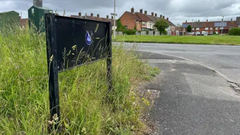A black metal frame where the Dungeon Lane road sign would have been is surrounded by long grass. A main road runs alongside the lane with an terraced houses in the background.