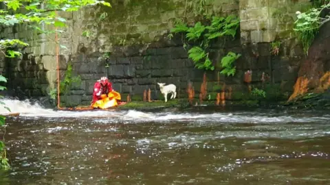 Edale Mountain Rescue Team Lost lamb