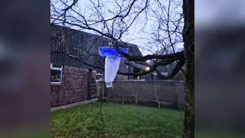 A midge trip is hung on the branches of a tree. The tree is placed outside a large barn area.