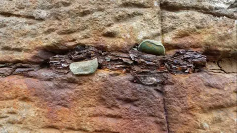 National Trust A line of old coins in the centre of the rock. The rock has turned a rusted orange colour around the coins. There is a large bulk of old rusted coins in the middle with some newer coins folded over.