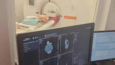 A screen shows X-Ray-style images of a turtle. In the background, through a pane of glass, is a CT scanner with Crush the turtle inside. 