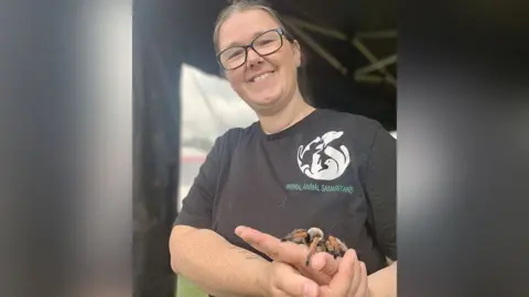 Sally Copson-Moore with brown hair and wearing black glasses and a black t-shirt from the Wirral Animal Samaritans holding a tarantula in her hands.