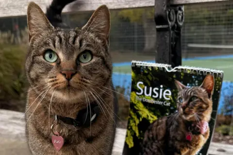 Matthew Darvill Susie the cat posing next to a propped up calendar with her photo on the front. The tabby cat has green eyes and a pink heart tag on her collar bearing her name.