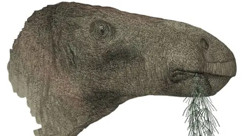 John Sibbick Artist's impression of the dinosaur's profile which resembles the shape of a horse's head without 