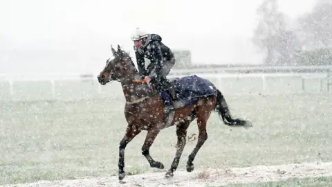 Snow falls as a horse and jockey warm up on the gallops on day two of the 2025 Cheltenham Festival at Cheltenham Racecourse