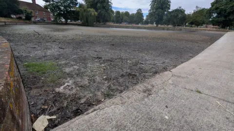 BBC The dried out crammer pond in Devizes with some rubbish in the bottom left-hand corner and trees and houses in the background. 