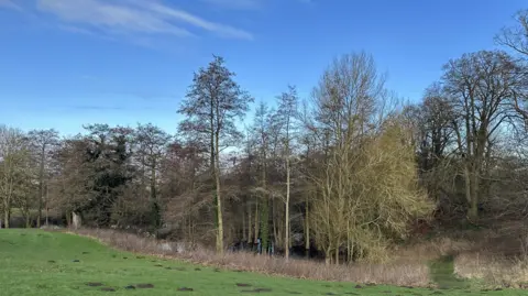 Ollie Conopo/BBC A landscape shot of a country park with lots of bare trees, bushes and grass. 