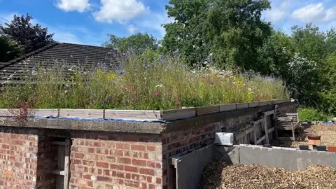 A World War Two bunker with a wildflower meadow growing on the roof.
