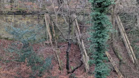 The section of the Derwent Walk supported by the wall. The stone wall has been built half way up a river bank. A wooden fence stands on top of it. Four wooden beams are supporting the wall. Two have clear gaps and breakages while the third has toppled over.