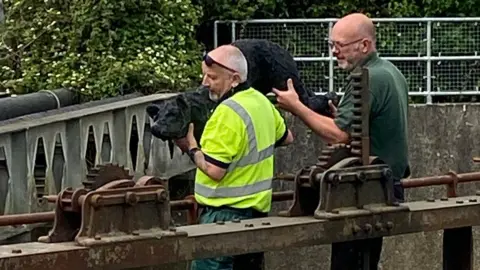 Bridport Town Council Two men removing the dog sculpture from the top of the wall next to the weir. Both are wearing green and one is wearing a hi-vis vest.