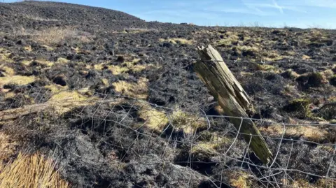 Tom Ingall/BBC A wire fence and fencepost stand in front of charred black moorland with blue sky above