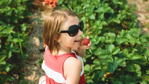 Child tries a strawberry