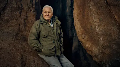 Sir David Attenborough, dressed in khaki anorak and grey trousers, leans against a giant redwood tree. He is looking thoughtfully to the left. His hair is white.