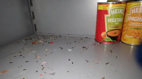 Liverpool City Council Mouse droppings seen all over a shelf which also has a tin of soup and a tin of spaghetti on it.