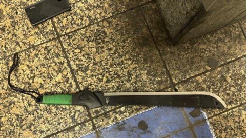 A Machete Attack in Grand Central: A Study in Urban Safety and Response