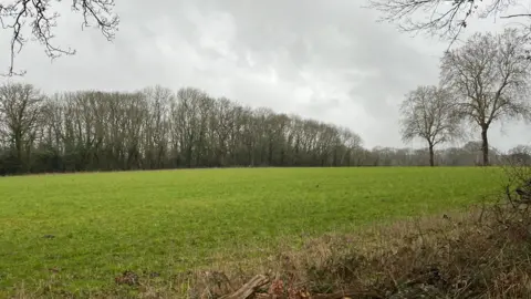 The prospective site where 950 homes will be built in Normandy, near Guildford, Surrey. A large green field and trees can be seen in the image. 