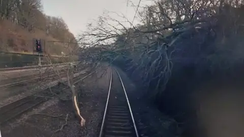 Greater Anglia A tree has slid down a bank and broken. A large branch is next to the rail track and the tree itself is blocking the route.