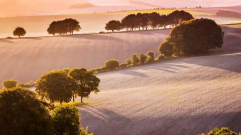 Sloping hills in the North Wessex Downs appear pink and glowy during an autumn sunset. There are clumps of trees bordering each field.