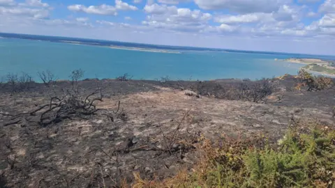 Hampshire and Isle of Wight Fire and Rescue Service Black scorched heathland on a cliff looking out over the Solent
