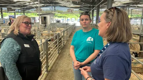Three women standing in a cattle shed surrounded by sheep talking