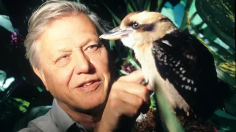 The Life of Birds - Picture shows - David Attenborough with a Kookaburra species of bird taken from 'The Life of Birds', 1998.