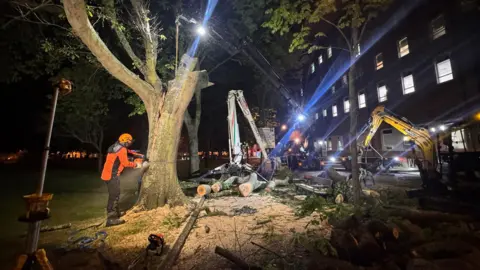 A picture of a man in an orange jacket cutting down the tree. There is a number of logs surrounding the area, with a number of machinery also on site. The hospital building can be seen to the right of the image.