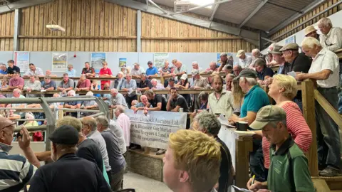 BBC Dozens of farmers are watching cattle being brought in to a ring to be auctioned at Cutcombe Market at Wheddon Cross on Exmoor.