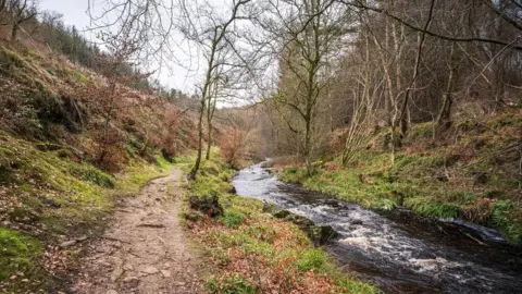 Stan Potts A stream runs through a wood with a footpath running alongside it.