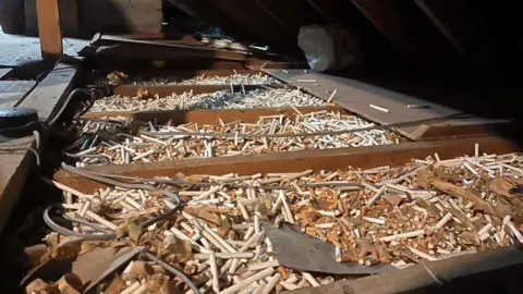 James Christie A zoomed out pictures of four of the rafters being filled with the brown cigarette butts and white filter tips in the attic of a house.