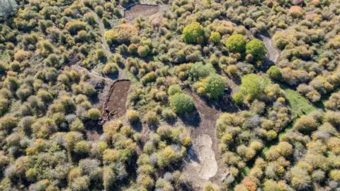 Wildlife Trust BCN The landscape is covered with dense patches of shrubs and small trees in a mosaic pattern, creating a textured appearance across the site. A small orange excavator is working beside one of the ponds.