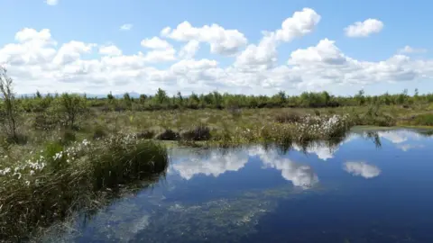 Cumbria Wildlife Trust Drumburgh Moss Nature Reserve