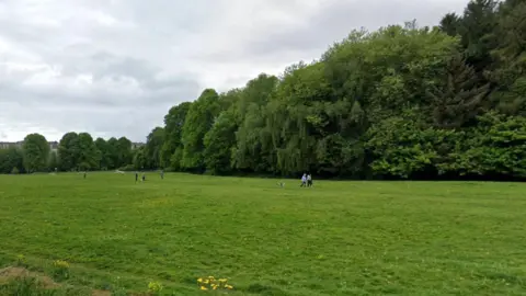 A picture of Trefusis Park. It is a large green open space.