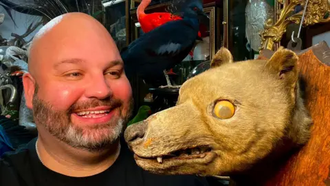 A man grinning at the mounted head of a Tasmanian Tiger, which has had plastic, googly eyes attached to it