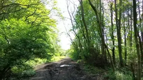 Google A disused railway line has been adapted into a cycle path: a muddy and uneven track, with trees and hedgerows on either side.