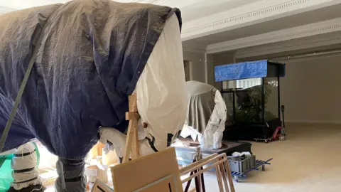 Milly Harrold/BBC Mammoth-like figure covered by blue tarpaulin and white sheets. Behind it is the back of the rhino, also covered by sheets and blankets